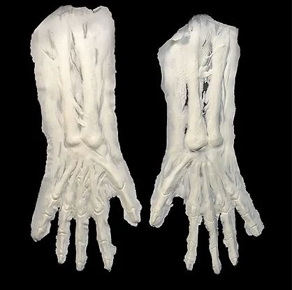 Arms, Woochie Skeleton Foam