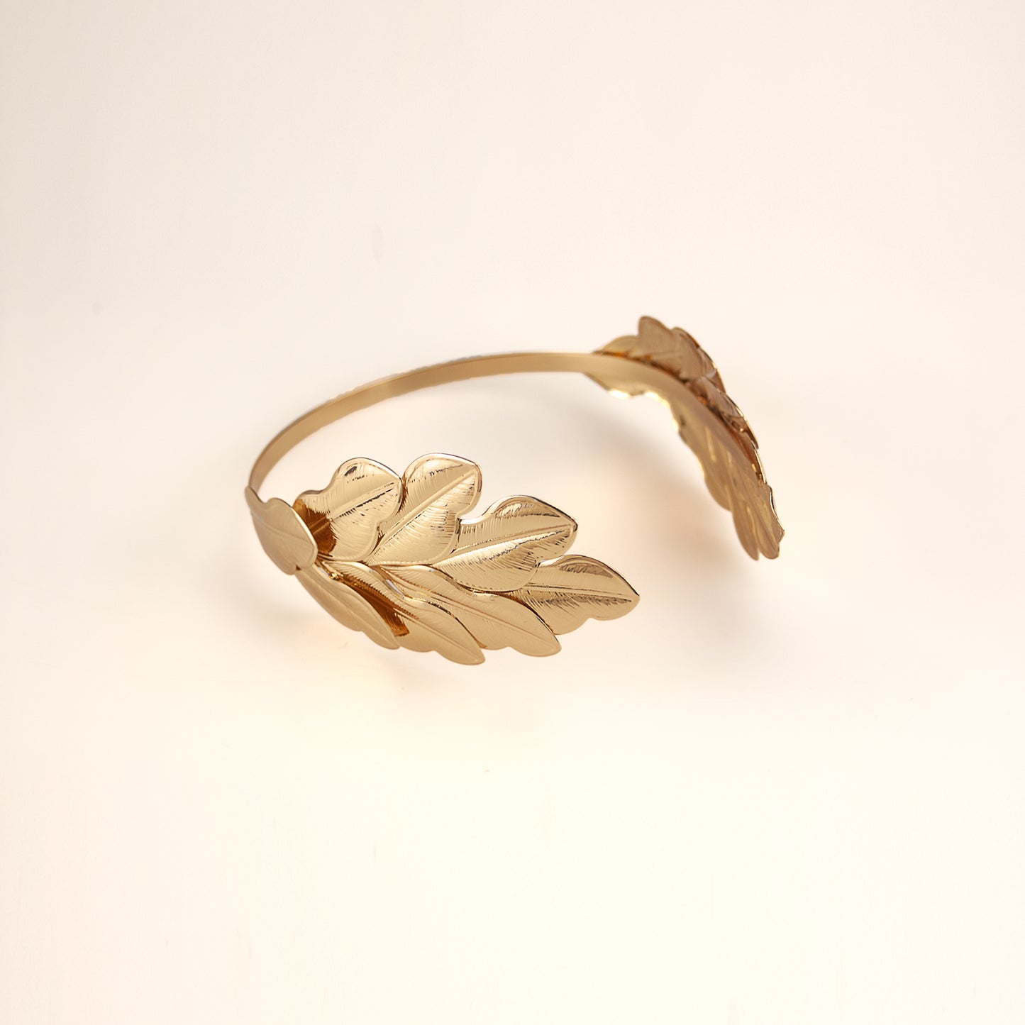 Crown, Ceasar Laurel Leaves headband