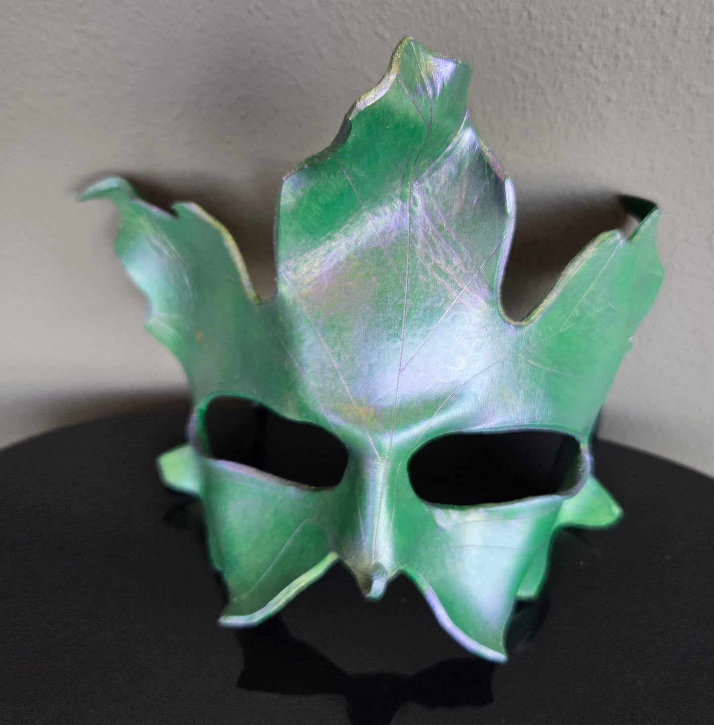 Mask, Full Face Leaf Spring (Glasses)