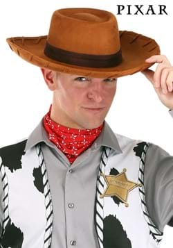 Hat, Woody Deluxe