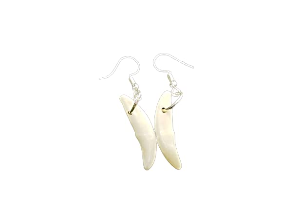 Earrings, Genuine Coyote Tooth (Pair)