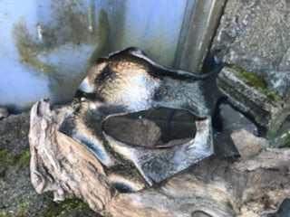 Mask, Brow