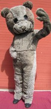 Bear, Sugar