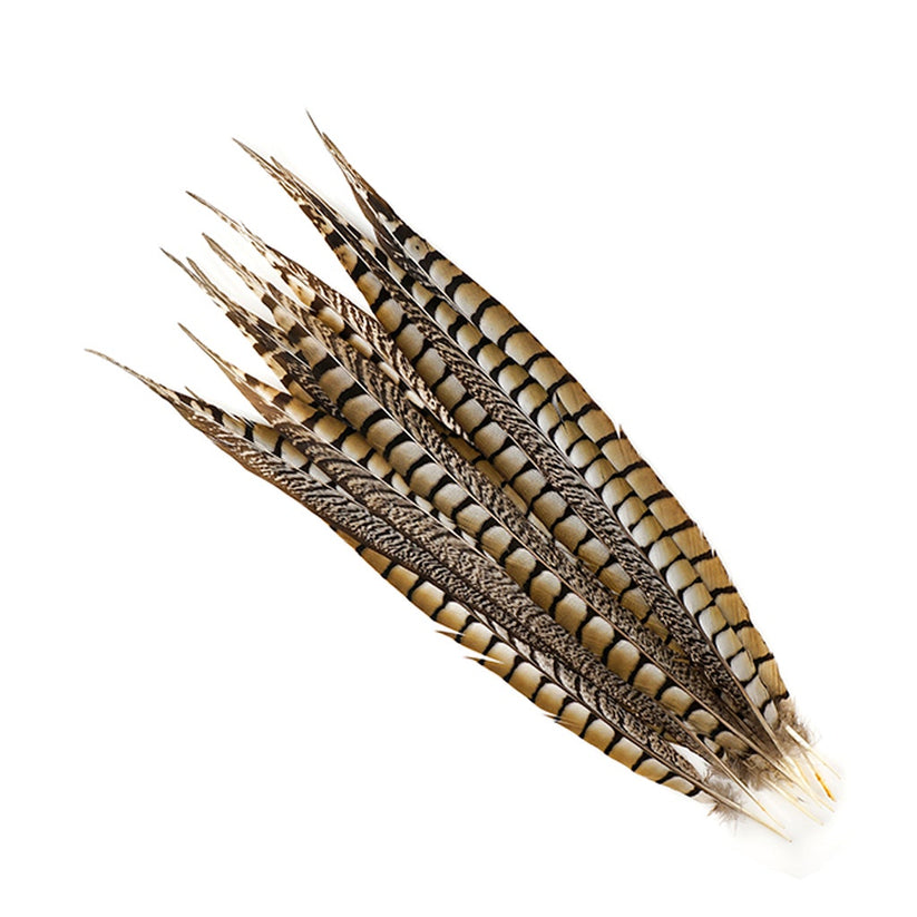 Feather Single, Pheasant Tail