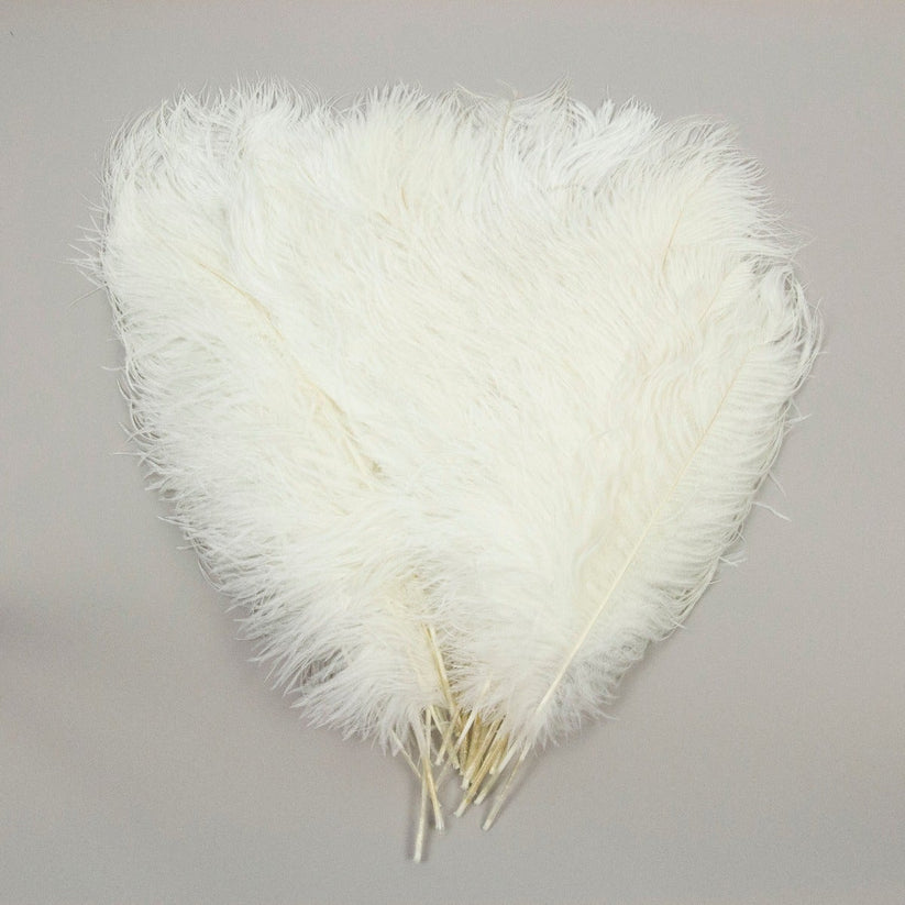 Feather Single, Ostrich Tails