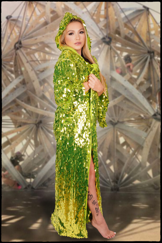 green sequin dress costume Clothing : Maxi Dresses : 'Belle' Pine Green Sequin Maxi Dress