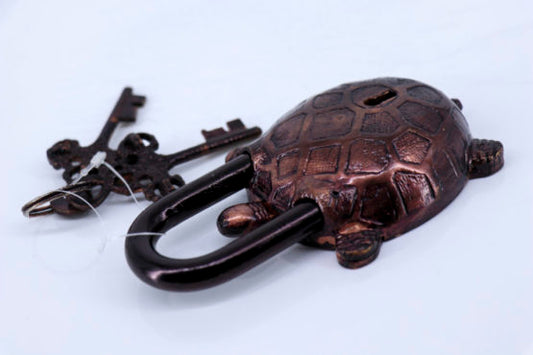 Padlock and Key, Turtle-