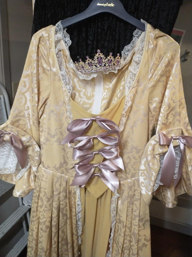 Gown, Fancy Colonial Lady 18th c- Saffron : Large