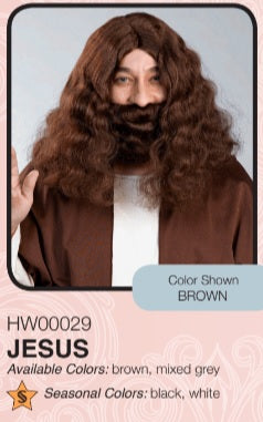 Biblical wig and beard set-brown