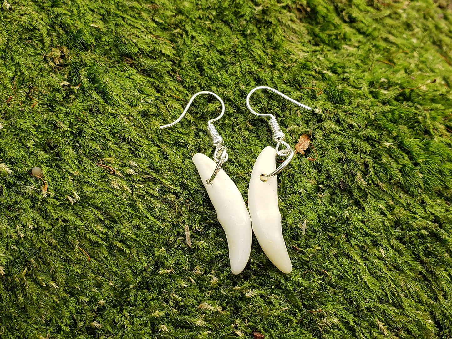 Earrings, Genuine Coyote Tooth (Pair)