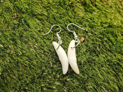 Earrings, Genuine Coyote Tooth (Pair)