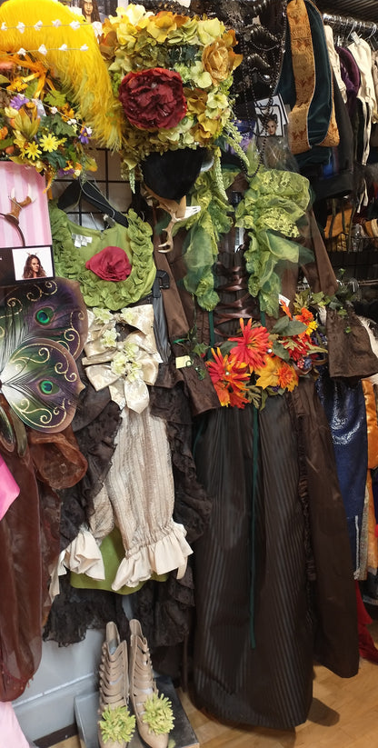 Gown, 18th Century Marie