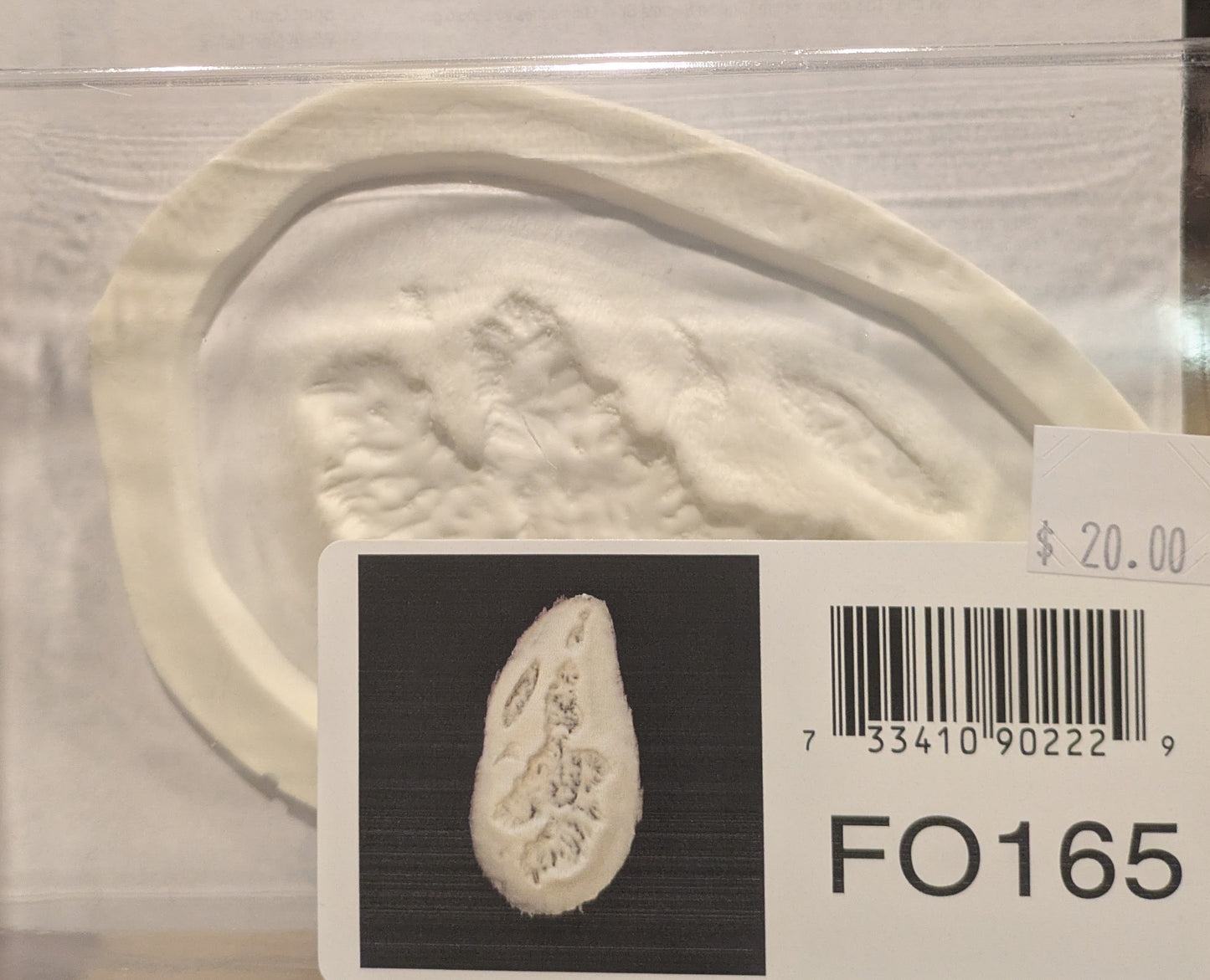 Wound, Scar Foam