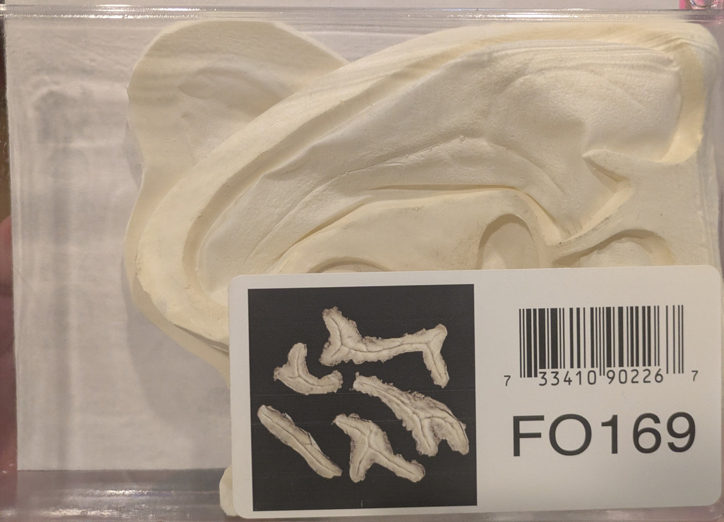 Wound, Scar Foam