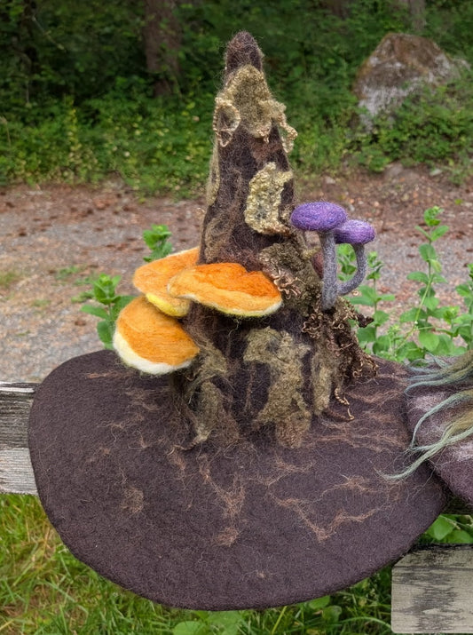 Hat, Witch or Wizard Mushroom Detail