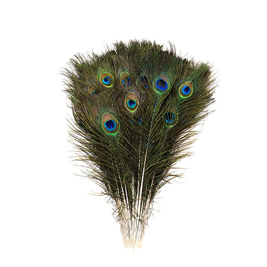 Feather Single, Peacock