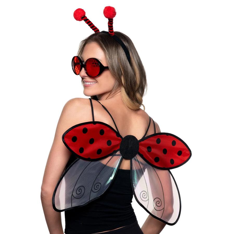 Ladybug Accessory Kit