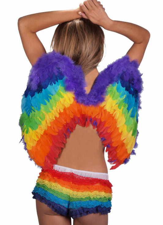 Rainbow Feather Wings-rainbow : OS